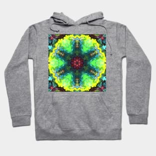 Psychedelic Hippie Flower Red Green and Blue Hoodie